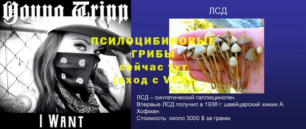 скорость Нея