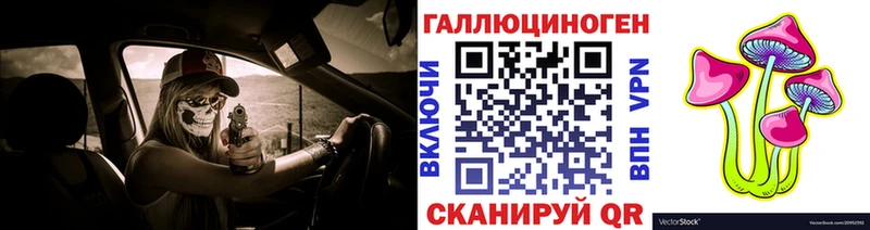 Псилоцибиновые грибы мухоморы  Купить закладки  Иркутск 